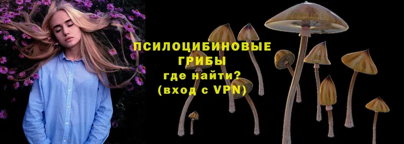 это телеграм  сколько стоит  Шумерля  Псилоцибиновые грибы MAGIC MUSHROOMS 